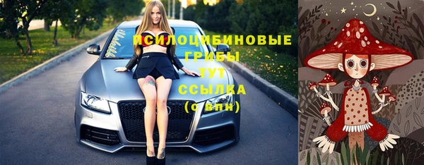 прущий лед Магадан